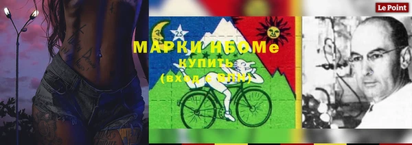 тгк Володарск