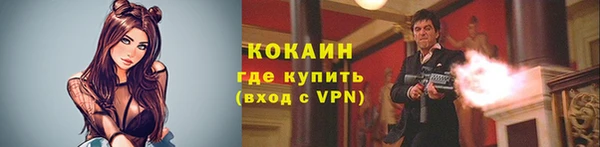 тгк Володарск