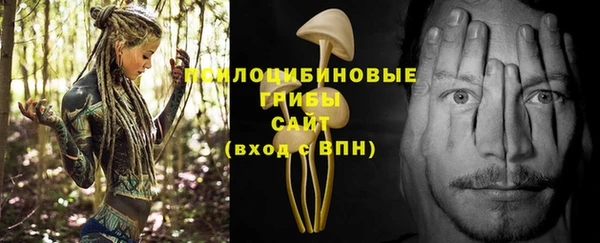 индика Верхнеуральск