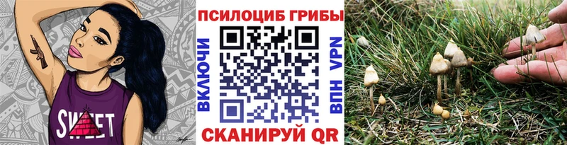 ОМГ ОМГ сайт  купить закладку  Кизел  Галлюциногенные грибы прущие грибы 