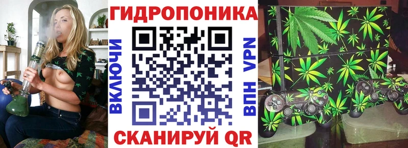 Конопля OG Kush  где найти наркотики  omg зеркало  Кизел 